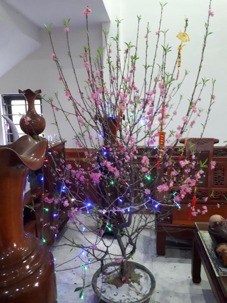 Hotel Thanh Minh Chau Lang Chanh Εξωτερικό φωτογραφία